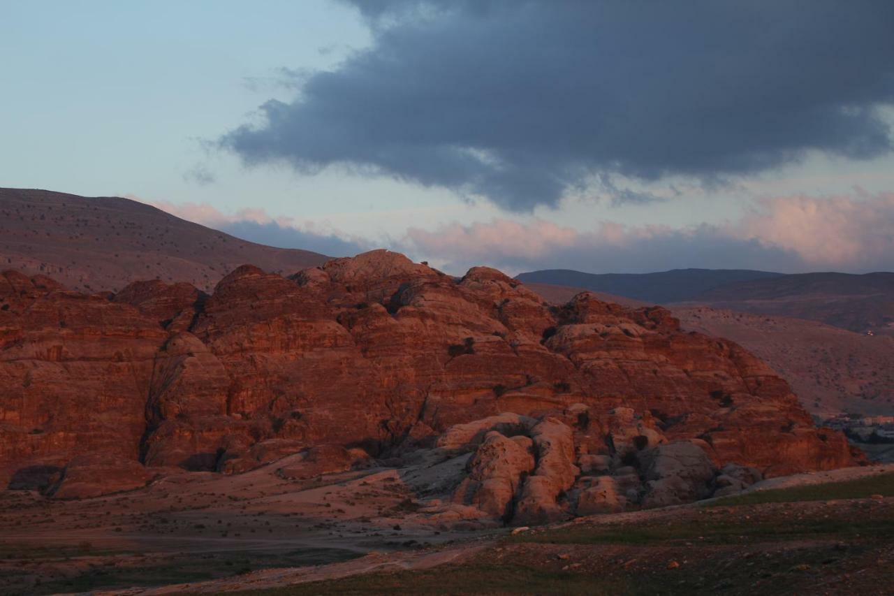 Bedouin Pink Ecohouse Bed & Breakfast Wadi Musa Exterior photo