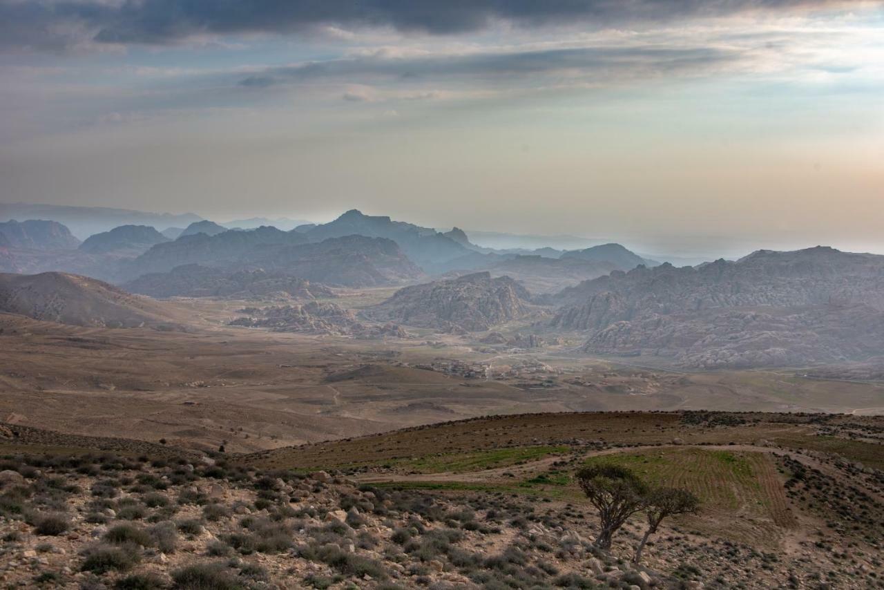 Bedouin Pink Ecohouse Bed & Breakfast Wadi Musa Exterior photo