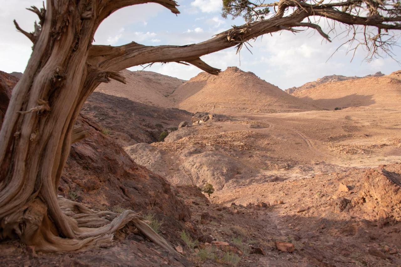 Bedouin Pink Ecohouse Bed & Breakfast Wadi Musa Exterior photo